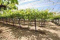 Großes Landhaus mit Marmorgeschäft und Weinplantage in Alicante Dream Homes Castalla 