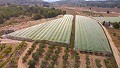 Großes Landhaus mit Marmorgeschäft und Weinplantage in Alicante Dream Homes Castalla 