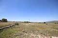 Großes Landhaus mit Marmorgeschäft und Weinplantage in Alicante Dream Homes Castalla 