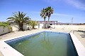 Large Country House with marble business and grape plantation in Alicante Dream Homes Castalla 