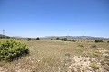 Grande maison de campagne avec commerce de marbre et plantation de raisin in Alicante Dream Homes Castalla 