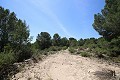 Großes Landhaus mit Marmorgeschäft und Weinplantage in Alicante Dream Homes Castalla 