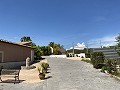 Großes Landhaus mit Marmorgeschäft und Weinplantage in Alicante Dream Homes Castalla 