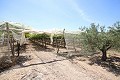 Großes Landhaus mit Marmorgeschäft und Weinplantage in Alicante Dream Homes Castalla 