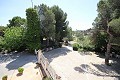 Large Country House with marble business and grape plantation in Alicante Dream Homes Castalla 