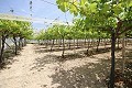 Großes Landhaus mit Marmorgeschäft und Weinplantage in Alicante Dream Homes Castalla 