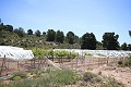 Grande maison de campagne avec commerce de marbre et plantation de raisin in Alicante Dream Homes Castalla 