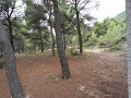 Large rustic home in a national park with slate roof. in Alicante Dream Homes Castalla 