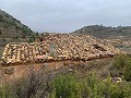 Parcel with ruins in La Carche, Jumilla in Alicante Dream Homes Castalla 