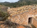 Parcel with ruins in La Carche, Jumilla in Alicante Dream Homes Castalla 