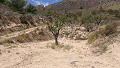 Parcelle avec ruines à La Carche, Jumilla in Alicante Dream Homes Castalla 