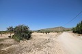 Baugrundstück mit Wasser, Strom und Bäumen in Alicante Dream Homes Castalla 