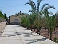 Villa Individuelle avec Piscine Privée in Alicante Dream Homes Castalla 