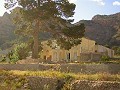 12,441m2 Finca in Raiguero de Bonanza, Orihuela in Alicante Dream Homes Castalla 