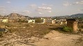 Finca de 12,441m2 en Raiguero de Bonanza, Orihuela in Alicante Dream Homes Castalla 