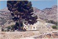 12.441m2 Finca in Raiguero de Bonanza, Orihuela in Alicante Dream Homes Castalla 