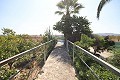 Detached Villa close to town in Caudete in Alicante Dream Homes Castalla 