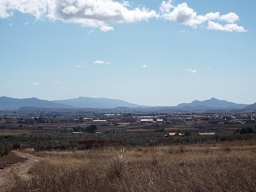 Terrain de 10 500 m2 avec eau courante