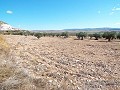 10,500m2 Plot of Land with mains water in Alicante Dream Homes Castalla 