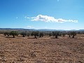 10,500m2 Plot of Land with mains water in Alicante Dream Homes Castalla 