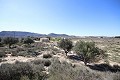 Zwei Baugrundstücke in Agost mit Wasser und Strom in Alicante Dream Homes Castalla 