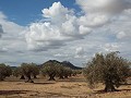 Huis in Caudete om te bouwen, Albacete in Alicante Dream Homes Castalla 