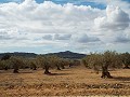 Huis in Caudete om te bouwen, Albacete in Alicante Dream Homes Castalla 