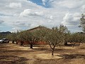 Haus in Caudete zu vervollständigen, Albacete in Alicante Dream Homes Castalla 