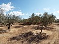 Huis in Caudete om te bouwen, Albacete in Alicante Dream Homes Castalla 