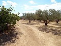 Huis in Caudete om te bouwen, Albacete in Alicante Dream Homes Castalla 