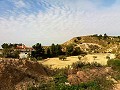 Mooie villa in Ricabacica, Abanilla + olijfgaard in Partidor in Alicante Dream Homes Castalla 