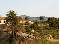 Lovely Villa in Ricabacica, Abanilla + olive grove in Partidor in Alicante Dream Homes Castalla 