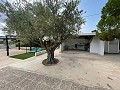 Villa met 4 slaapkamers en 2 badkamers in Alicante Dream Homes Castalla 