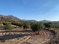 Building plots in Macisvenda in Alicante Dream Homes Castalla 