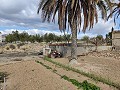 Finca adosada en La Romana in Alicante Dream Homes Castalla 