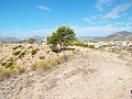 Stunning views from this Plot in Macisvenda in Alicante Dream Homes Castalla 