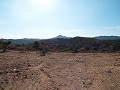 Stunning views from this Plot in Macisvenda in Alicante Dream Homes Castalla 