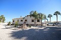 Large Detached Villa with 7 beds in Catral in Alicante Dream Homes Castalla 