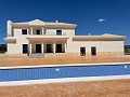 Neubau mit Pool in Pinoso in Alicante Dream Homes Castalla 