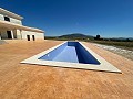 Neubau mit Pool in Pinoso in Alicante Dream Homes Castalla 