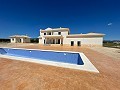 Nieuwbouw met zwembad in Pinoso in Alicante Dream Homes Castalla 