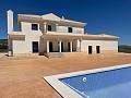 Neubau mit Pool in Pinoso in Alicante Dream Homes Castalla 