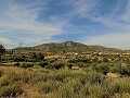 Maison de campagne de 3 chambres et dépôt de stockage à 10 minutes à pied de la ville de Barinas in Alicante Dream Homes Castalla 