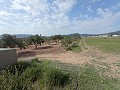 Building Plot in Salinas in Alicante Dream Homes Castalla 