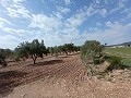 Baugrundstück in Salinas in Alicante Dream Homes Castalla 