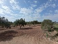 Building Plot in Salinas in Alicante Dream Homes Castalla 