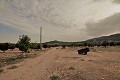 Landhaus mit 3 Schlafzimmern auf einem großen Grundstück in Alicante Dream Homes Castalla 