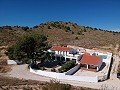 Impressionnante grande maison avec 2ème maison plus piscine et garages in Alicante Dream Homes Castalla 