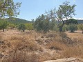 Building Plot in Biar in Alicante Dream Homes Castalla 