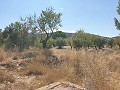 Building Plot in Biar in Alicante Dream Homes Castalla 